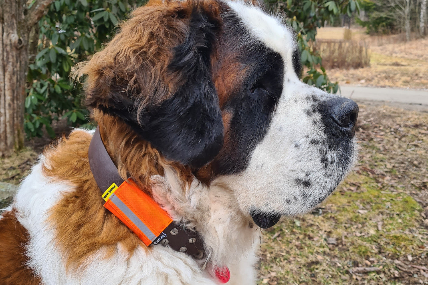 josi.li Tracker GPS Pouch Nylon with reflective strip, Tractive, PAJ and other models, swimmable