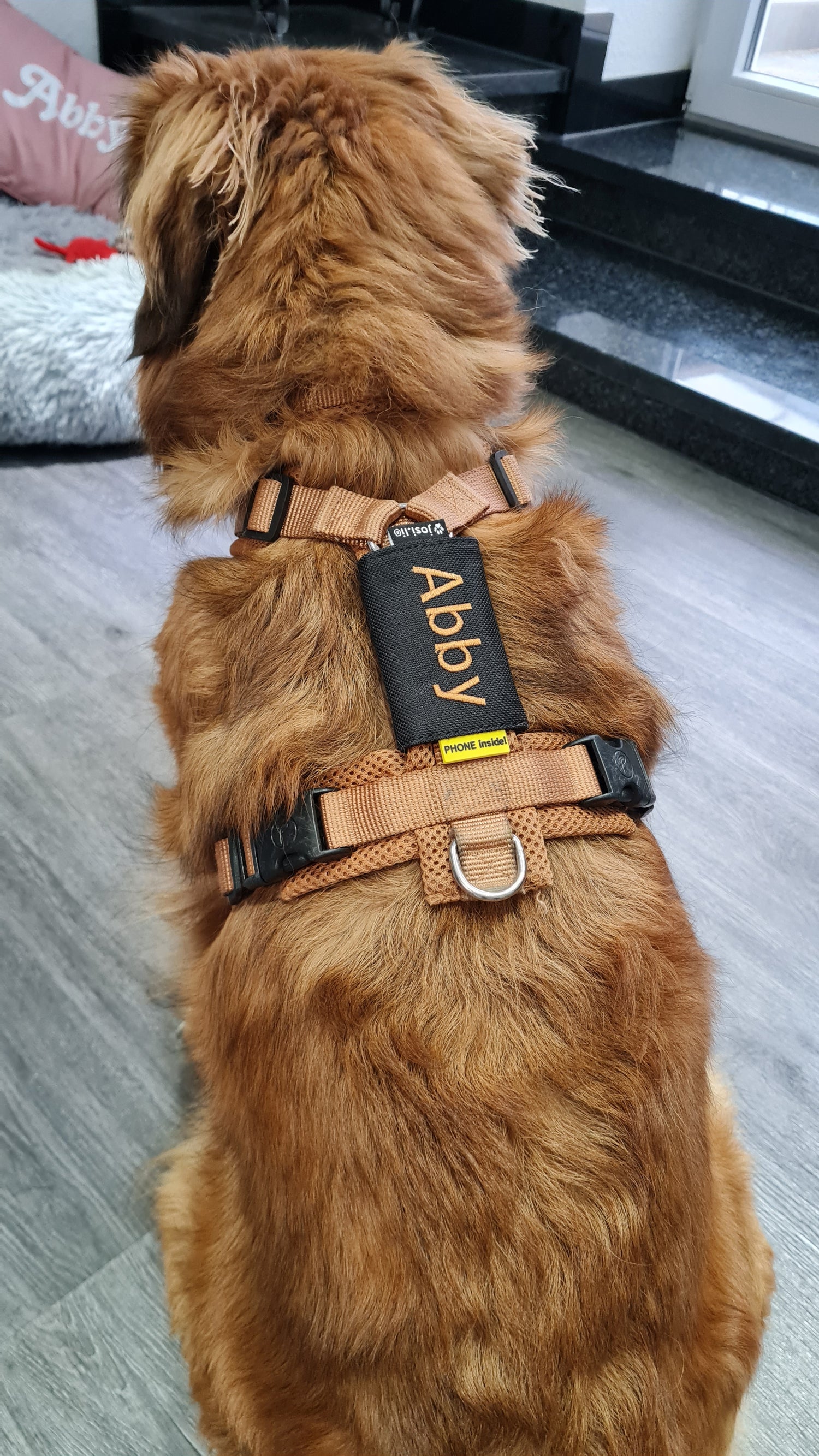 josi.li Hundemarkentasche bestickt Halsbandtasche Adresstasche Hundemarke AirTag schwimmtauglich personalisierbar