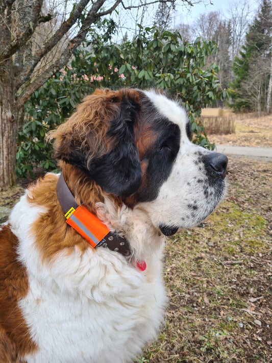 josi.li GPS Tracker Tasche für Hunde – alle Trackermodelle - Hochwertige Trackerhülle aus Nylon mit Reflektorband, Farbwahl und sicherem Verschluss