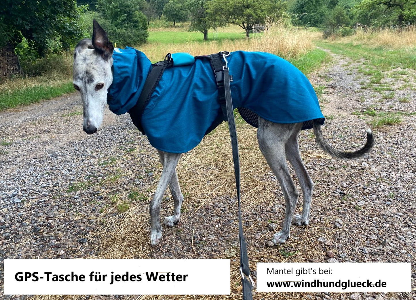 josi.li GPS Tracker Tasche für Hunde - für Tractive Tracker - einfache und effektive Trackerhülle aus Nylon, schwimmtauglich