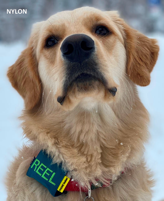 josi.li GPS Tracker Tasche für Hunde – alle Trackermodelle - Hochwertige Trackerhülle aus besticktem Nylon mit Trackerschutz, Farbwahl und sicherem Verschluss
